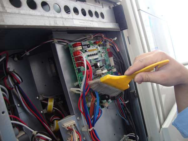 �����{���B